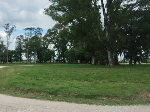 Terreno en Venta de 734,0 m2