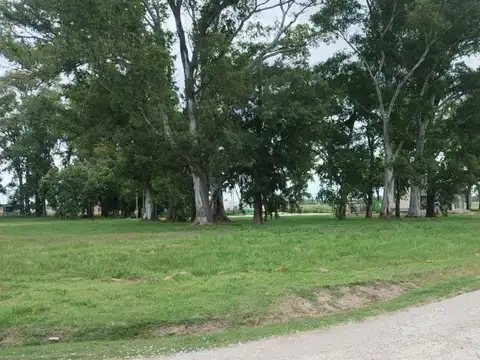 LOTE EN FINCAS DE SAN VICENTE JOVEN