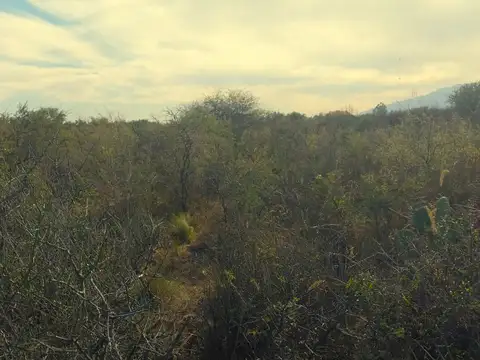 Terreno en Venta en Las Chacras, USD 8.000