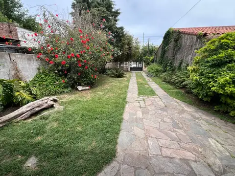 Joaquin V Gonzalez 300