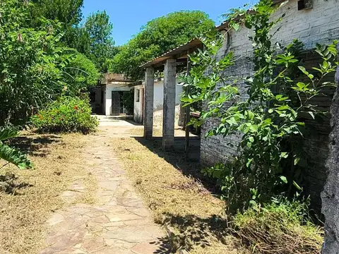 Alfonsina Storni 2900