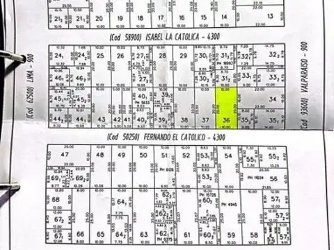 FERNANDO EL CATÓLICO