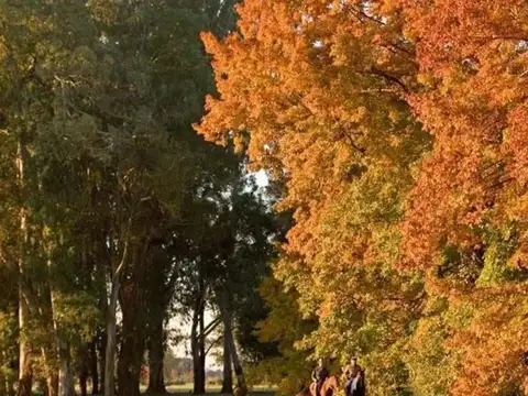 Terreno en Venta de 1300,0 m2