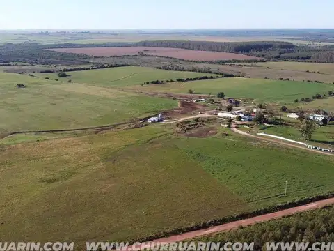 147 HAS AGRICOLAS URUGUAY