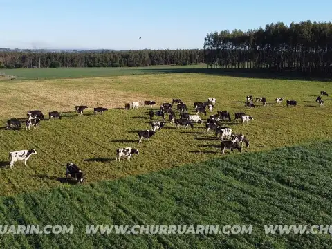 147 HAS AGRICOLAS URUGUAY