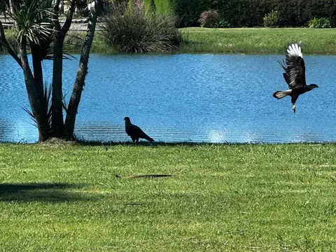 Terreno en Venta de 1033,0 m2