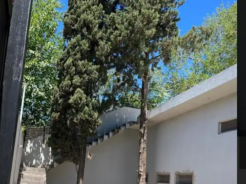 Abanderado Grandoli 1800