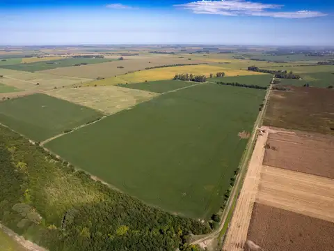 Arrecifes zona rural