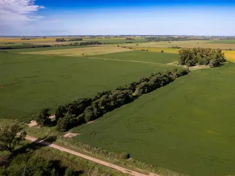 Arrecifes zona rural