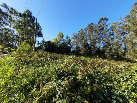 Vendo terreno en Sierra de los Padres.