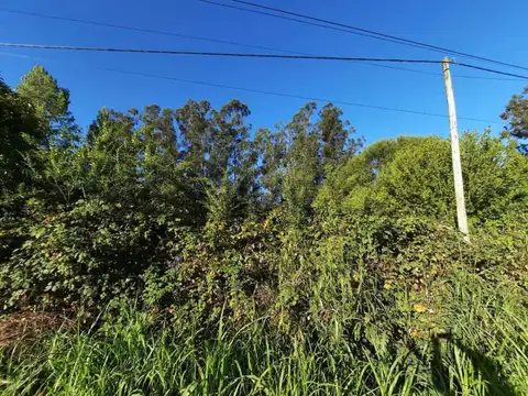 Terreno en Venta 53  mts Fondo