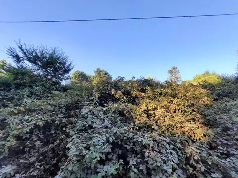 Terreno en Venta 20  mts Frente