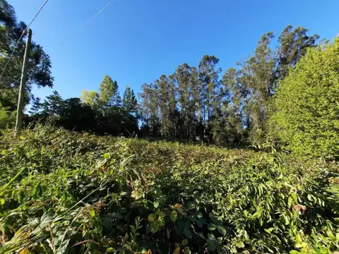 Los olivares 300, Piso 0