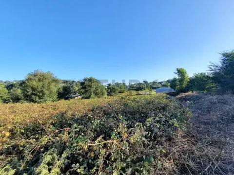 Los olivares 300, Piso 0