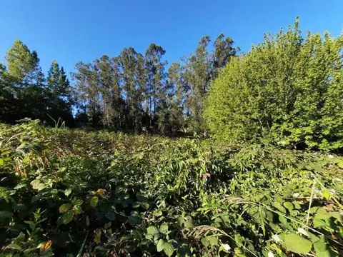 Terreno en Venta de 1060,0 m2