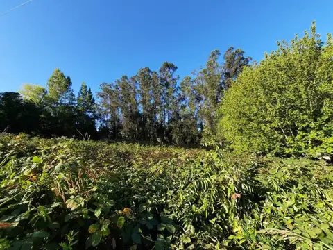 Terreno en Venta en Sierra De Los Padres, USD 35.000