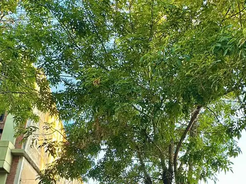 CASA 3 AMB VILLA SARMIENTO