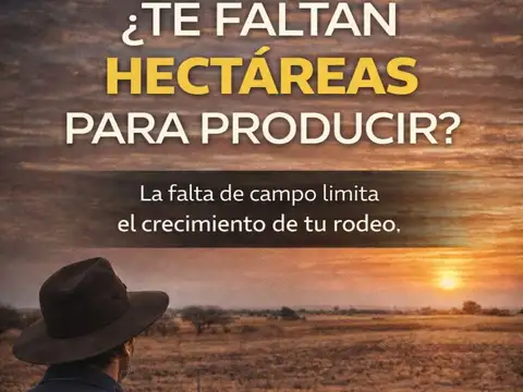 Excelente Campo de 1200ha en arrendamiento - Algarrobo