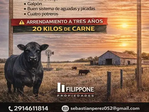 Excelente Campo de 1200ha en arrendamiento - Algarrobo