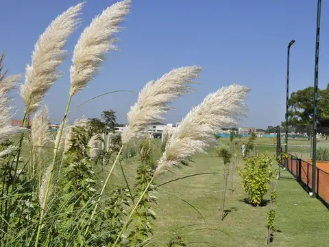 Terreno en Venta de 736,0 m2