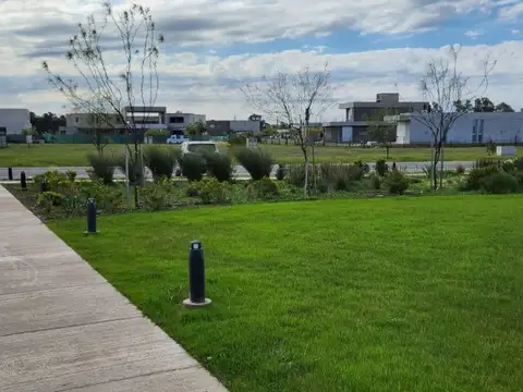 Arturo Illia 300, Piso 0