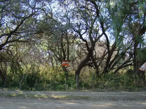 NUEVO   FRACCIONAMIENTO LOMA BOLA TRASLASIERRA