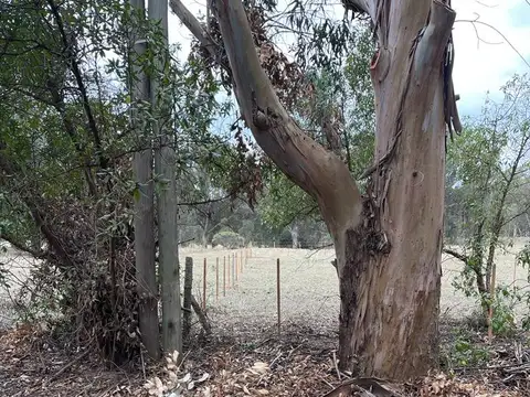 terreno sobre 181 y 62