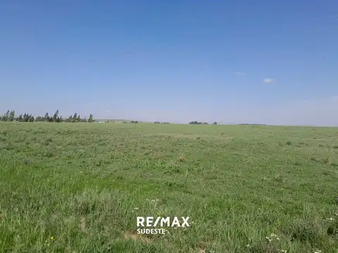 Acceso a Tornquist por ruta 33