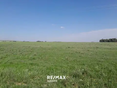 Lote 2000 mts en Acceso a Tornquist