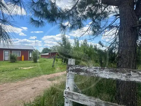 CAMPO EN VENTA 15 HECTAREAS ETCHEGOYEN RUTA 6