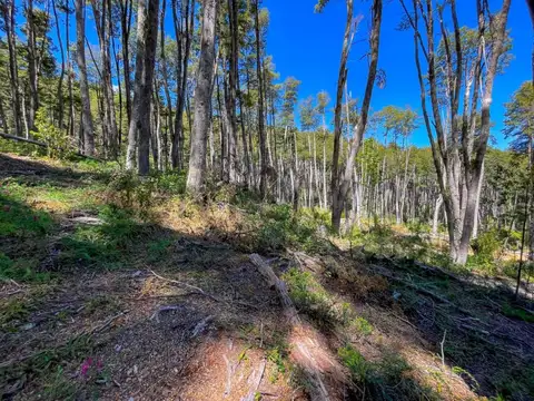 Venta de Lote Villa La Angostura