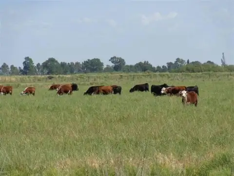 Casa en Venta en Lihue Calel, USD 1