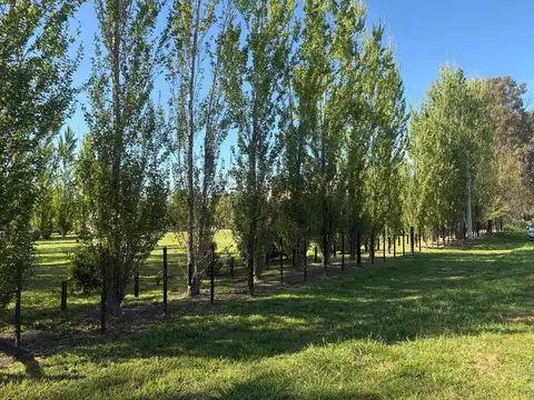 San Isidro y La Maria Delia