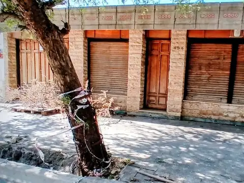 Fray José León Torres 400