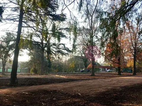 Local en Venta en Pilar Centro, USD 119.000