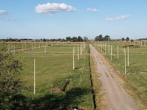 Terreno - Campos del Oeste - Alvear