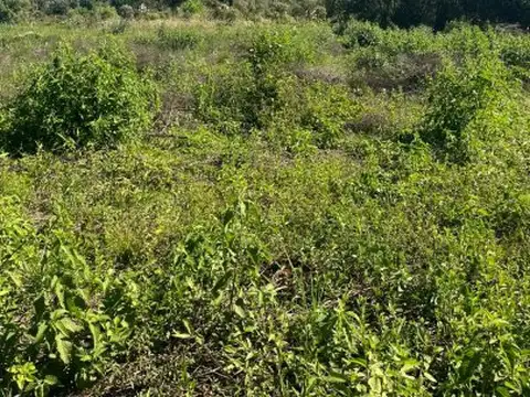 Terreno en Venta en Garupa, USD 20.000