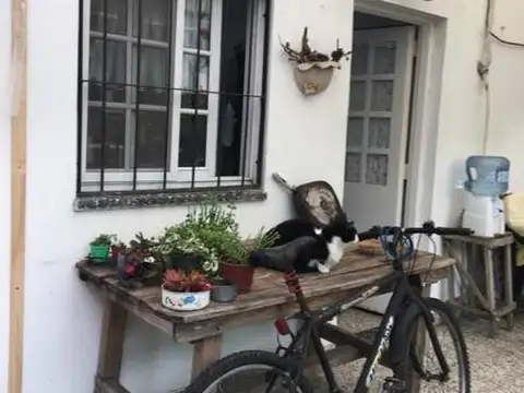 EXCELENTE LOTE 8,66 x 24