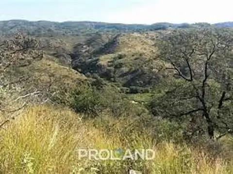 EXCELENTE FINCA de 180 has