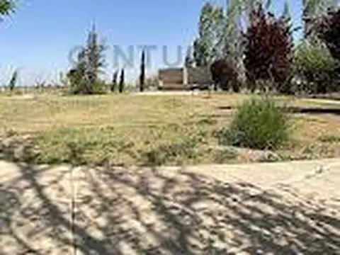 Century21 Lopez vende Terreno ubicado en Barrio Los Alamos en Fray Luis Beltran