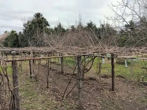 Quinta en Venta en Virrey del Pino, USD 70.000