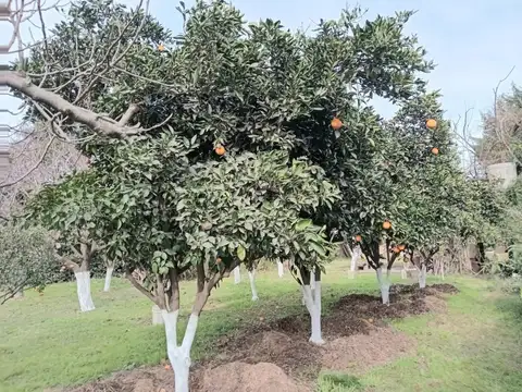 Venta quinta s/ 2000 m²