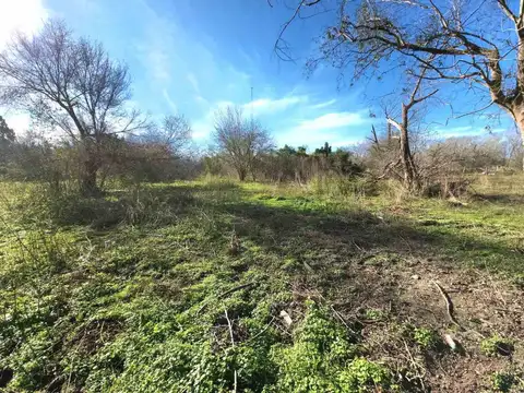 VENTA LOTE BENAVIDEZ