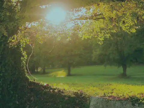 Terreno en Venta de 800,0 m2