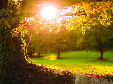 Avenida Carlos Pellegrini