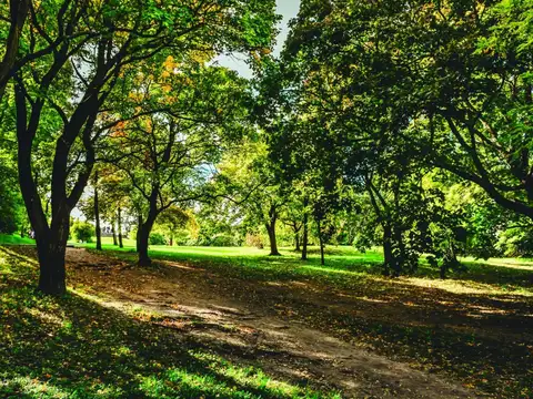 Terreno en Venta de 800,0 m2