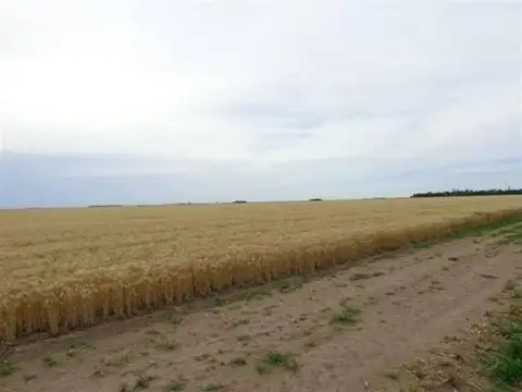 Casa en Alquiler en Alpachiri, $ 1