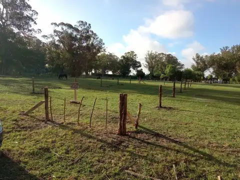 Terreno en Venta de 310,0 m2