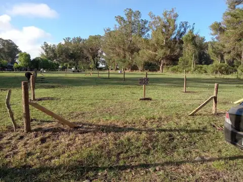 Terreno en Venta 31  mts Frente