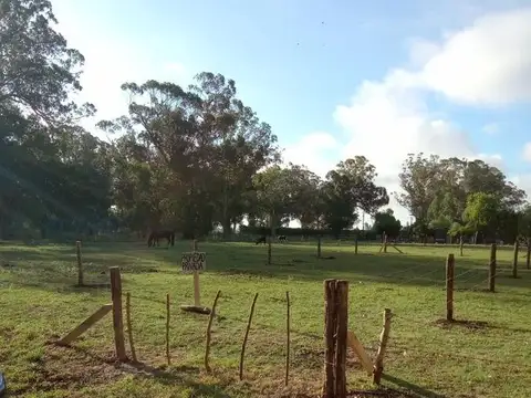 Buenos Aires e/ Belgrano y Rivadavia